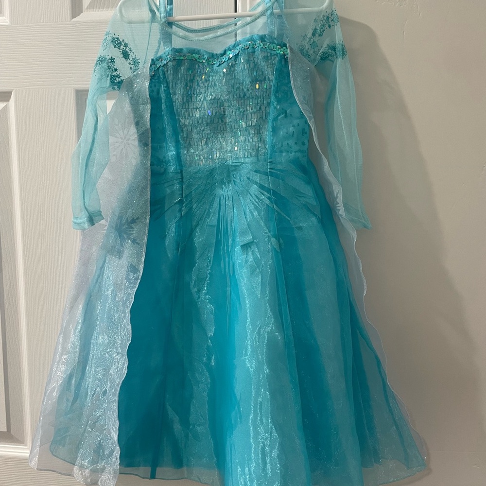 Disney Parks Elsa Dress